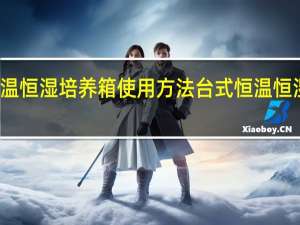 恒温恒湿培养箱使用方法 台式恒温恒湿试验箱