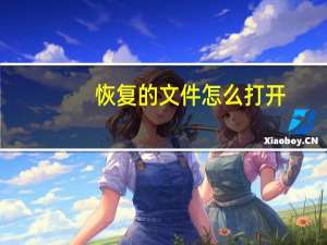 恢复的文件怎么打开（文件恢复区在哪）