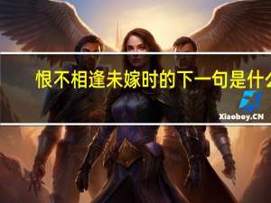 恨不相逢未嫁时的下一句是什么