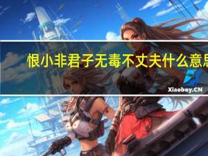 恨小非君子无毒不丈夫什么意思（无毒不丈夫什么意思）