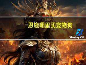 恩施哪里买宠物狗