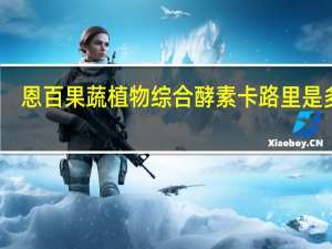 恩百 果蔬植物综合酵素卡路里是多少