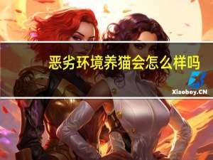 恶劣环境养猫会怎么样吗