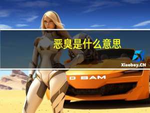 恶臭是什么意思