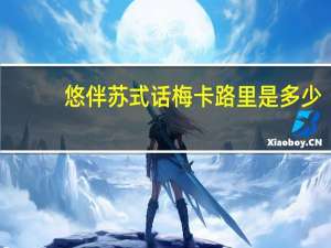 悠伴 苏式话梅卡路里是多少