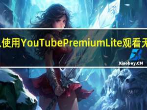 您可以使用YouTubePremiumLite观看无广告的视频