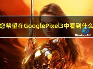 您希望在Google Pixel 3中看到什么