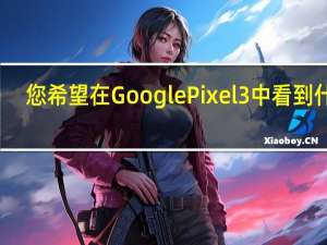 您希望在Google Pixel 3中看到什么