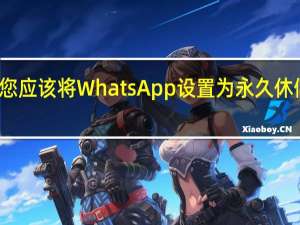 您应该将WhatsApp设置为永久休假模式