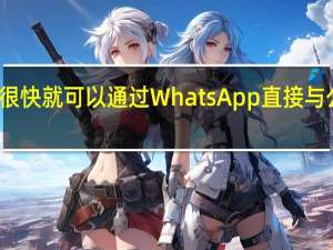 您很快就可以通过WhatsApp直接与公司购物