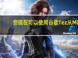 您现在可以使用谷歌Tez从Mi.com购买小米产品