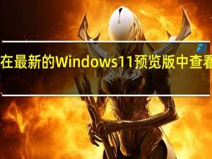 您终于可以在最新的Windows 11预览版中查看所有已保存的Wi-Fi密码