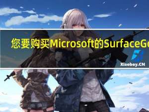 您要购买Microsoft的Surface Go吗