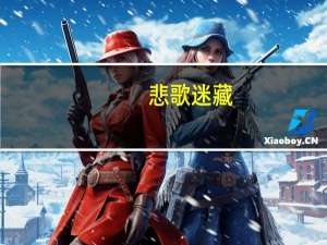悲歌迷藏（关于悲歌迷藏的介绍）