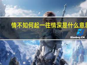 情不知何起一往情深是什么意思