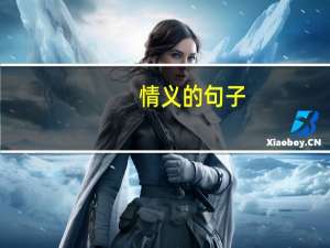 情义的句子