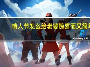 情人节怎么给老婆惊喜而又简单（情人节给老公惊喜）