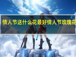 情人节送什么花最好 情人节玫瑰花图片