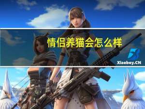 情侣养猫会怎么样