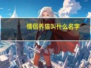 情侣养猫叫什么名字