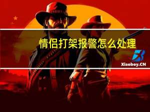情侣打架报警怎么处理