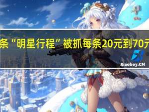 情侣贩卖300多条“明星行程”被抓 每条20元到70元不等 到底什么情况呢