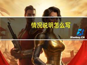 情况说明怎么写_