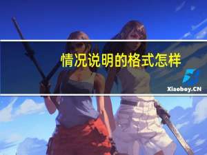 情况说明的格式怎样（情况说明的格式）