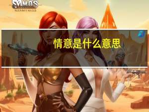 情意是什么意思
