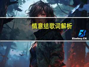 情意结歌词解析