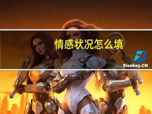 情感状况怎么填