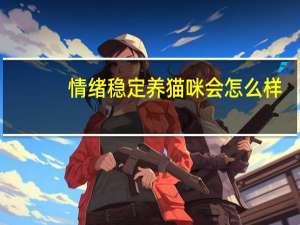 情绪稳定养猫咪会怎么样