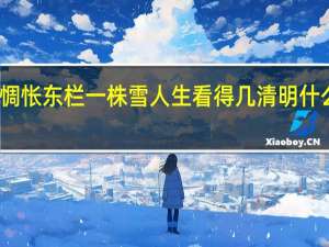 惆怅东栏一株雪人生看得几清明什么意思（惆怅东栏一株雪 人生看得几清明的意思）