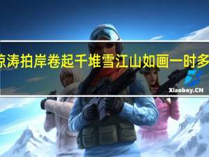 惊涛拍岸卷起千堆雪江山如画一时多少豪杰（惊涛拍岸卷起千堆雪）