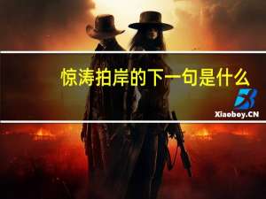 惊涛拍岸的下一句是什么