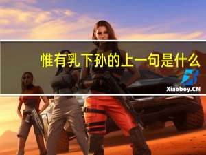 惟有乳下孙的上一句是什么