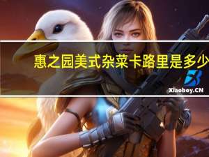 惠之园 美式杂菜卡路里是多少