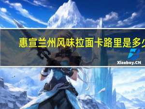 惠宣 兰州风味拉面卡路里是多少