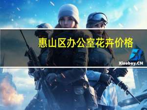 惠山区办公室花卉价格