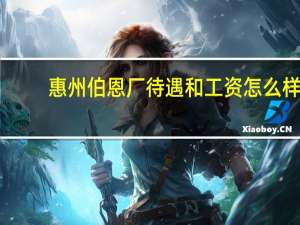 惠州伯恩厂待遇和工资怎么样，厂是黑厂吗