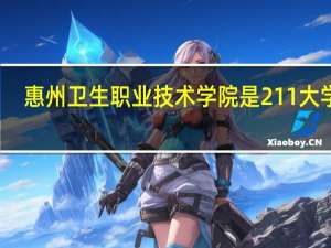 惠州卫生职业技术学院是211大学吗