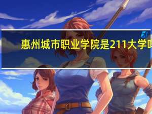 惠州城市职业学院是211大学吗