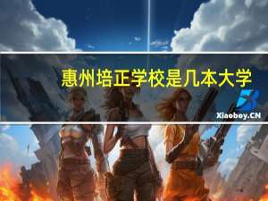 惠州培正学校是几本大学