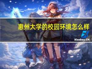 惠州大学的校园环境怎么样