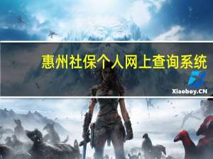 惠州社保个人网上查询系统（惠州社保个人网上查询）