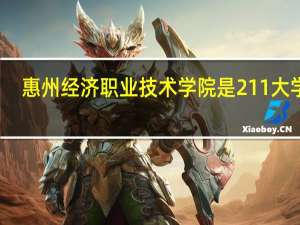 惠州经济职业技术学院是211大学吗