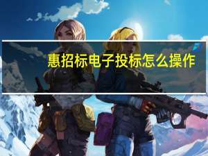 惠招标电子投标怎么操作（惠招标）