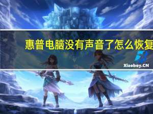 惠普电脑没有声音了怎么恢复（电脑没有声音了怎么回事）