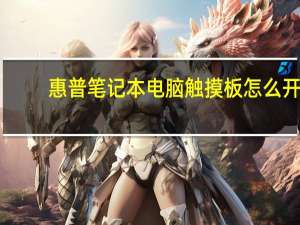 惠普笔记本电脑触摸板怎么开（惠普笔记本触摸板(惠普笔记本触摸板怎么开启)）