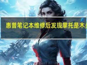 惠普笔记本维修后发现掌托是木头的（惠普笔记本维修）
